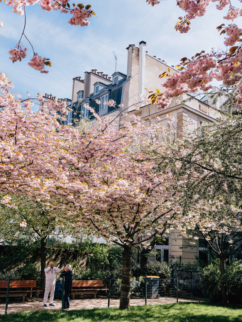 Voorjaar in Parijs